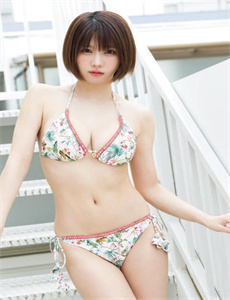 《昭君出塞电视剧》